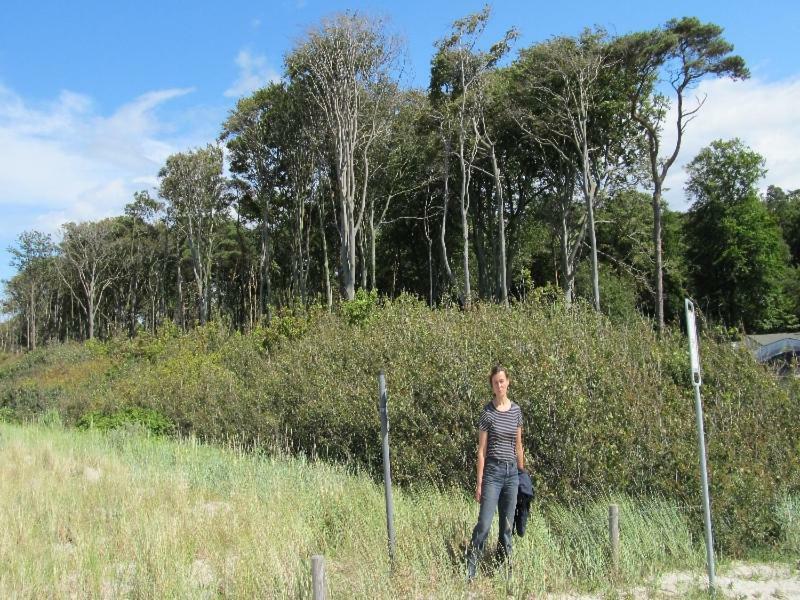 “Haus Am Kuestenwald” Ferienwohnungen Graal-Mueritz Esterno foto